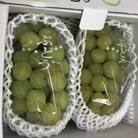 シャインマスカット(ご家庭用)約1.2kg2房