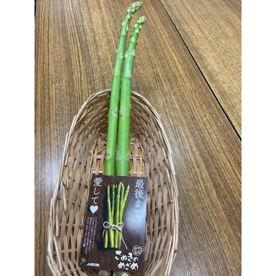 極太アスパラガス【さぬきのめざめ】50cmロングサイズ5本