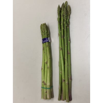 アスパラガス【さぬきのめざめ】30cmセミロングサイズ1kg