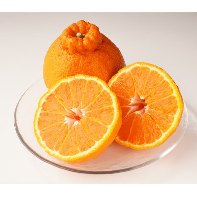 【期間限定!】甘みと酸味の共演・濃厚「デコポン」　約5kg