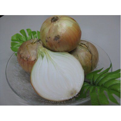 【2026年4月~5月発送】この時期にしか味わえない、みずみずしく甘み豊かな「新玉ねぎ」　約3kg