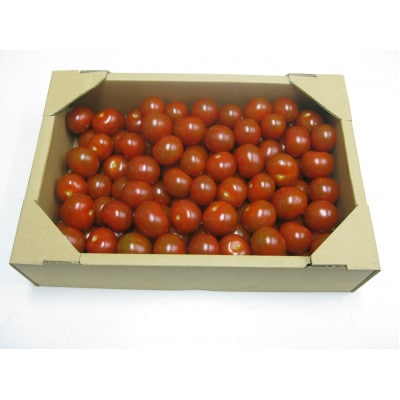 ご家庭用ミニトマト　約2kg