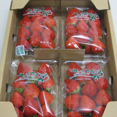 【発送月固定定期便】東かがわ市さぬきひめ定期便全3回