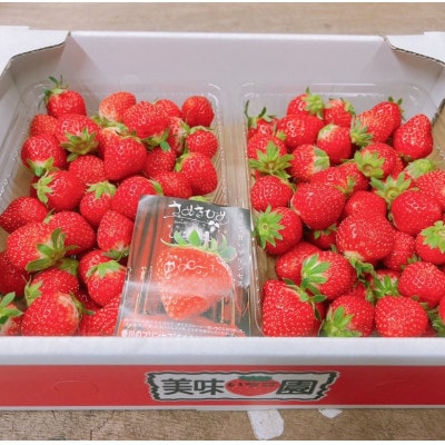 【発送月固定定期便】東かがわ市さぬきひめ定期便全3回