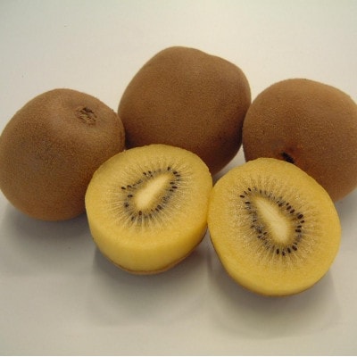 【発送月固定定期便】東かがわ市香川県オリジナルキウイフルーツ定期便全3回