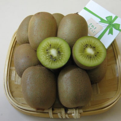 【発送月固定定期便】東かがわ市香川県オリジナルキウイフルーツ定期便全3回