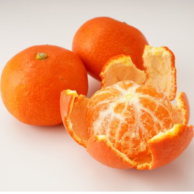 【発送月固定定期便】東かがわ市フルーツ定期便全3回