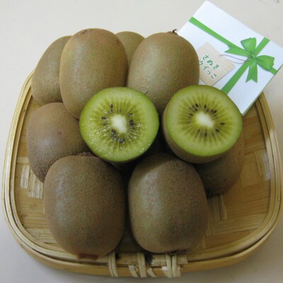 【発送月固定定期便】東かがわ市フルーツ定期便全3回