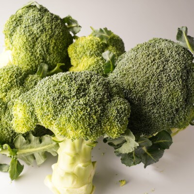 【発送月固定定期便】さぬきの野菜定期便全6回