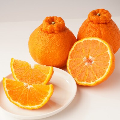 【発送月固定定期便】東かがわ市フルーツ定期便全4回