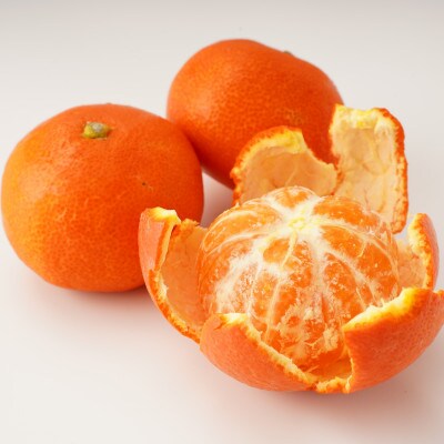 【発送月固定定期便】東かがわ市フルーツ定期便全4回