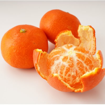 【発送月固定定期便】東かがわ市フルーツ定期便全5回