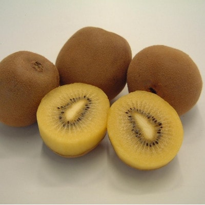 【発送月固定定期便】東かがわ市フルーツ定期便全5回