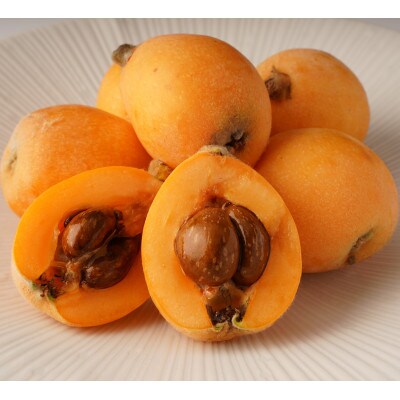 【発送月固定定期便】東かがわ市 フルーツ定期便全9回