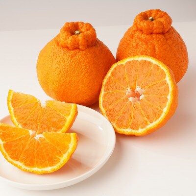 【発送月固定定期便】東かがわ市 フルーツ定期便全9回