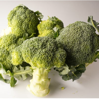 【発送月固定定期便】東かがわ市 フルーツと野菜定期便全7回