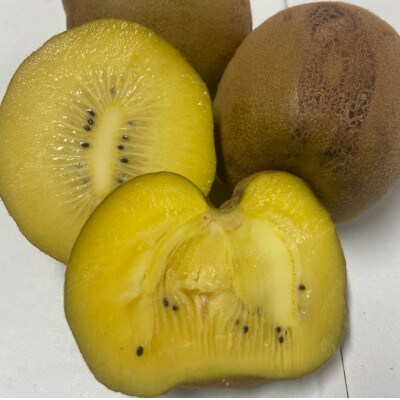 【発送月固定定期便】東かがわ市 訳あり フルーツ定期便全7回