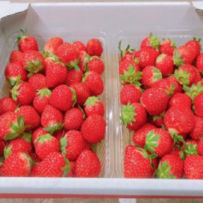 【発送月固定定期便】東かがわ市　訳あり　フルーツと野菜全12回
