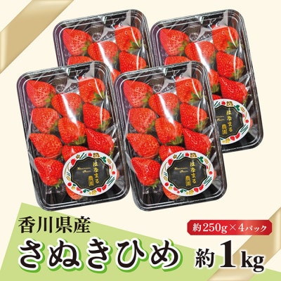 はなまる農園こだわりさぬきひめ いちご 4パック