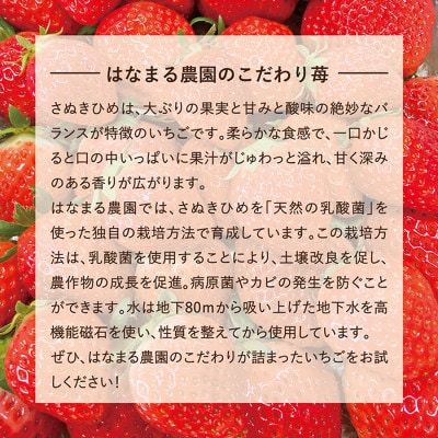 はなまる農園こだわりさぬきひめ いちご 4パック