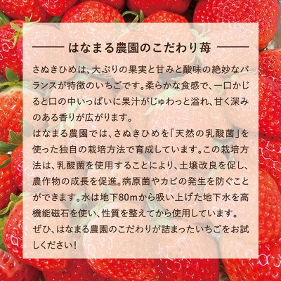 はなまる農園のこだわり煌(きらめき)さぬきひめ40粒
