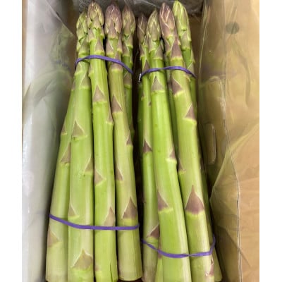 はなまる農園のさぬきのめざめ　2.2キロ!!