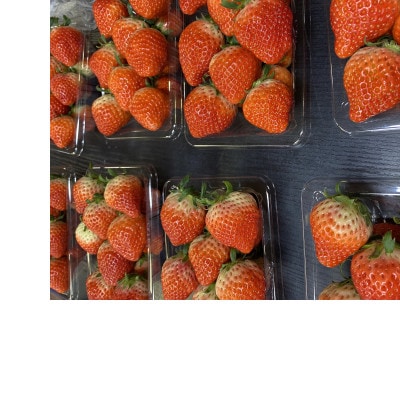 はなまる農園のこだわりさぬきひめ1キロ