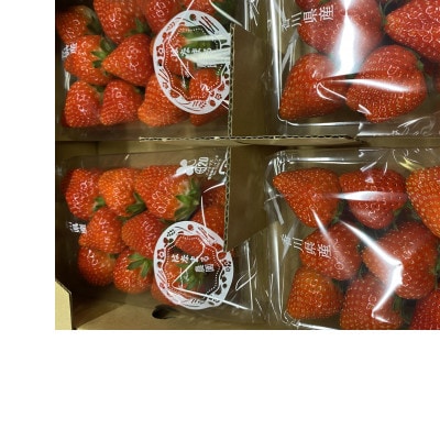 はなまる農園のこだわりさぬきひめ1キロ