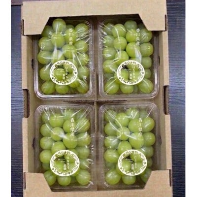 はなまる農園シャインマスカット粒パック(250g×4)