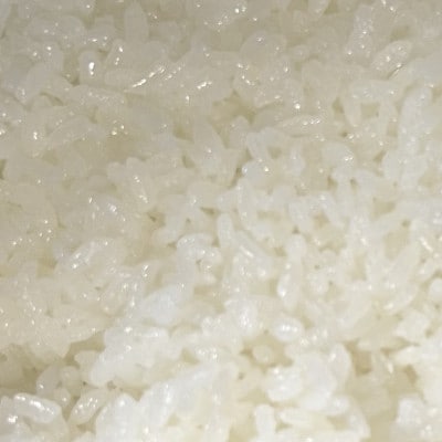 虹のきらめき 精米(白米)　10キロ
