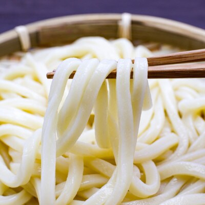 讃岐半生うどん「祭」8人前