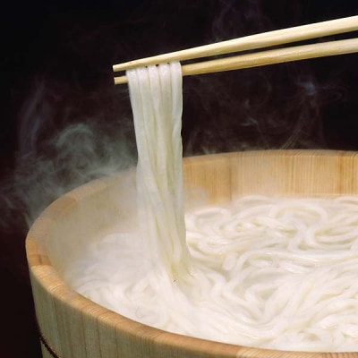 讃岐手打ち本生「手作りうどんセット」 10人前(麺棒・打ち粉・作り方・だし付きセット)