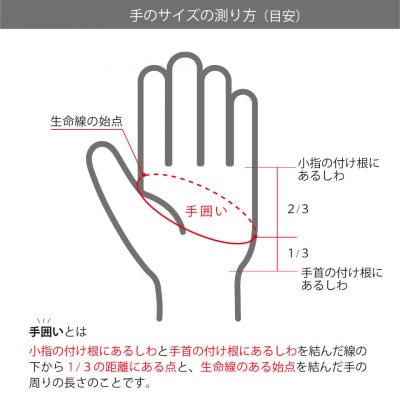 メンズゴルフグローブ　H-ONE GRAPHIC MODEL (ジャパネスク)24cm