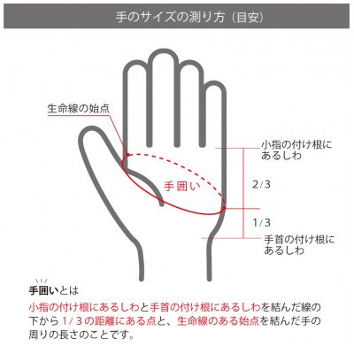 メンズゴルフグローブ　H-ONE GRAPHIC MODEL (3色セット)24cm