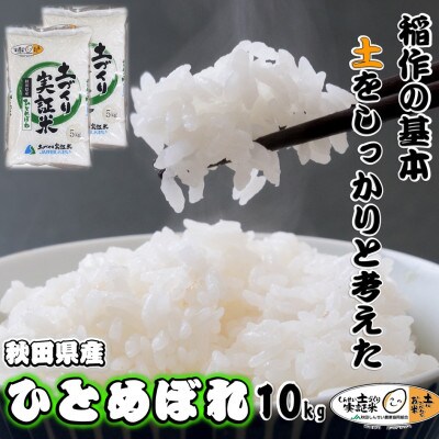 秋田県産ひとめぼれ　10kg　(精米)