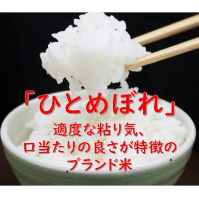 秋田県産ひとめぼれ　10kg　(精米)