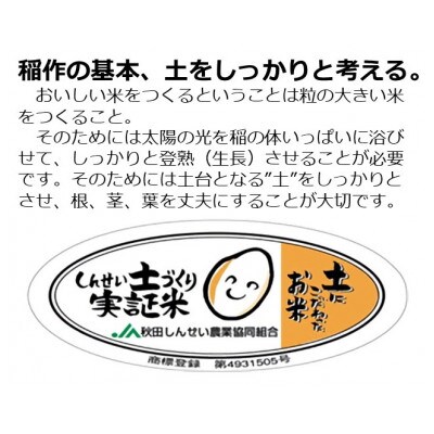 秋田県産ひとめぼれ　10kg　(精米)