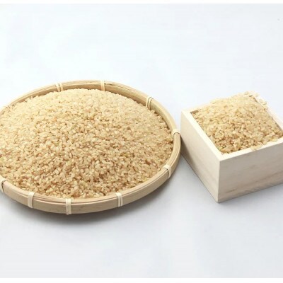 令和5年産 秋田県由利本荘市産ひとめぼれ玄米 5kg