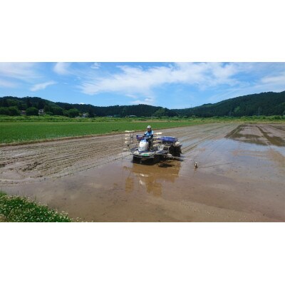 令和5年産 秋田県由利本荘市産 ひとめぼれ精米 10kg 五平農園