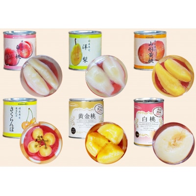 国産果実缶詰セレクションH21437(100101)