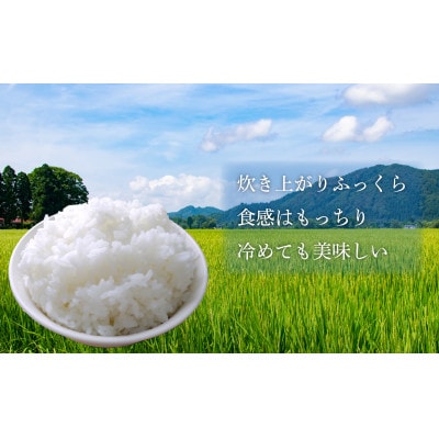【訳あり】【令和3年産】無洗米「ひとめぼれ」精米5kg×1袋