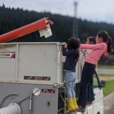 令和7年産ササニシキ 精米10kg(5kg×2袋)<栽培期間中節減対象農薬:当地比5割減>真空パック