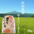 秋田県産 あきたこまち 精米 農家自慢のお米 9kg×1袋