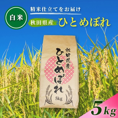 【毎月定期便】【白米】通算5回特A 秋田県産ひとめぼれ 5kg(5kg×1袋)全3回
