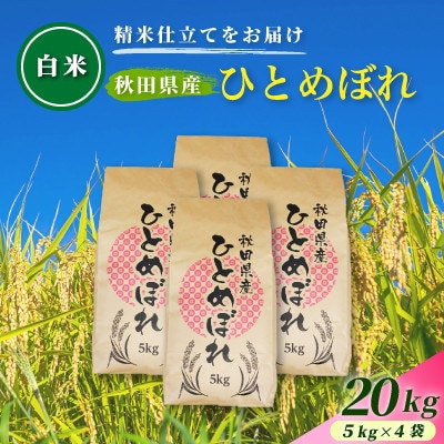【毎月定期便】【白米】通算5回特A 秋田県産ひとめぼれ 20kg(5kg×4袋)全5回
