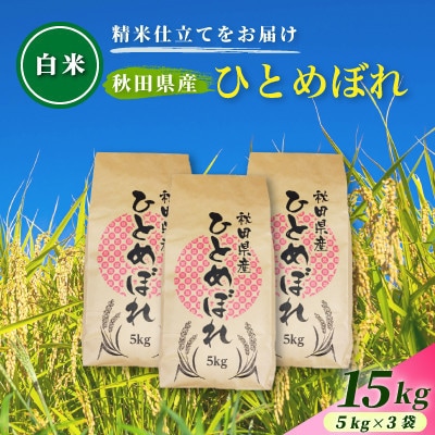 【発送月固定定期便】2026年12月～発送 白米 秋田県産ひとめぼれ 15kg(5kg×3袋)全6回