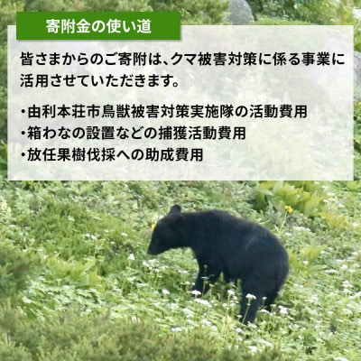 【返礼品なし】クマ被害対策支援(秋田県由利本荘市) 1,000円