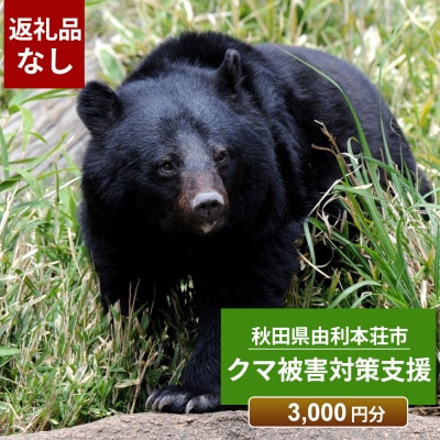 【返礼品なし】クマ被害対策支援(秋田県由利本荘市) 3,000円