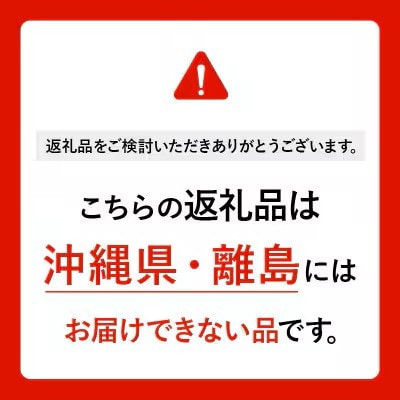 【由利本荘市内】お墓参り代行+お墓の点検サービス
