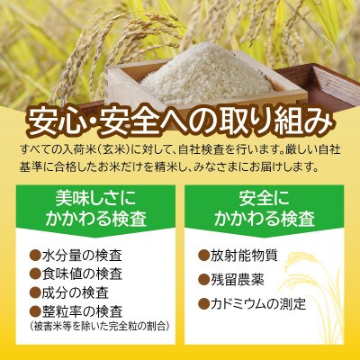 生鮮米 無洗米 宮城県産ひとめぼれ 2合パック(約300g)×30袋